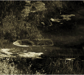 Stonegrave Pond No 16 2005, Archival pigment print